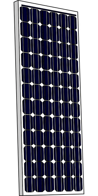eco-friendly-long-distance-movers-sf-640x480-4889120.png