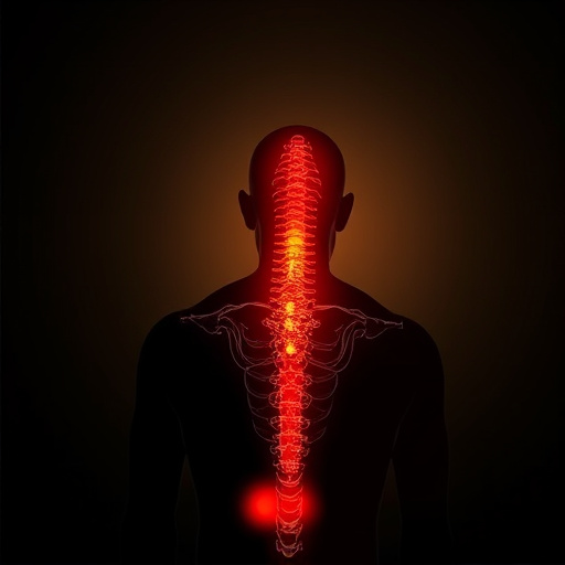 holistic-chiropractic-pain-relief-640x480-901235.jpeg