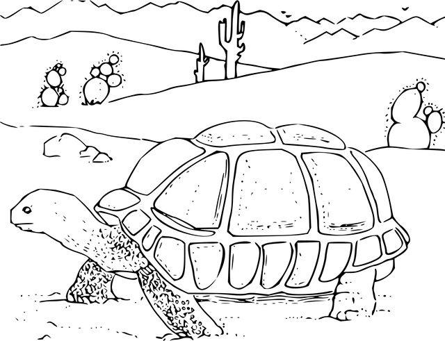 moving-company-640x480-22786421.png