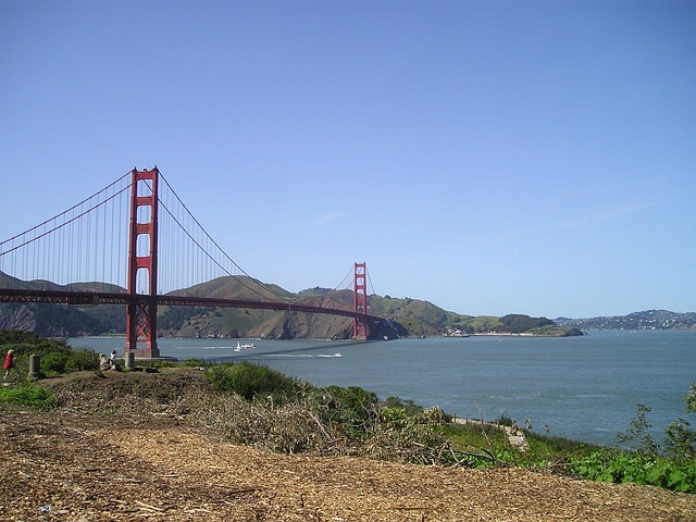 Trusted San Francisco Piano Movers: Superior Relocation for Precious Instruments
