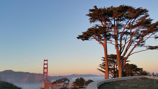 reliable-packing-assistance-san-francisc-640x480-72655335.jpeg