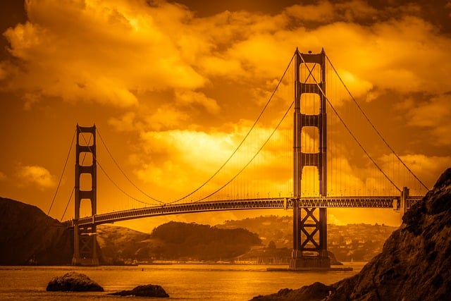 Proven Pet-Friendly Moving Experts for San Francisco Companies: Relocation Success Guaranteed