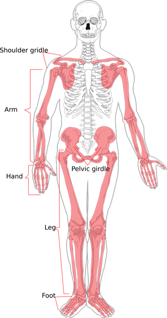 Find Proven, Trusted Back Pain Relief in Frisco TX with Superior Chiropractic Care