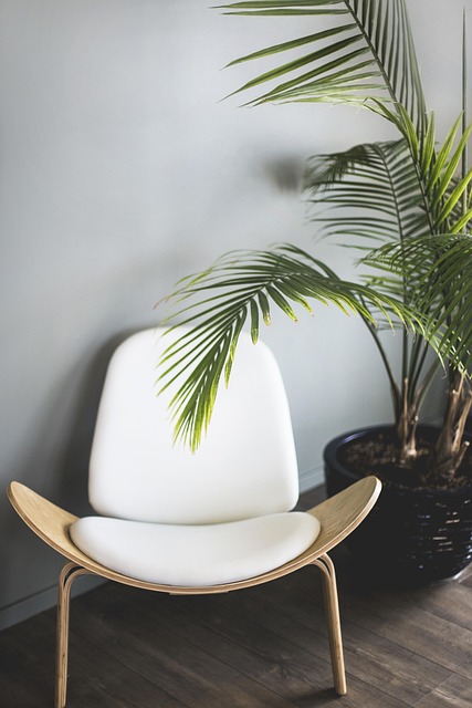 affordable furniture disassembly