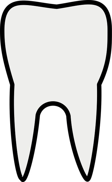 chiropractic-care-frisco-640x480-48935393.png