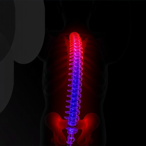 frisco-chiropractor-pain-solutions-640x480-1971411.jpeg