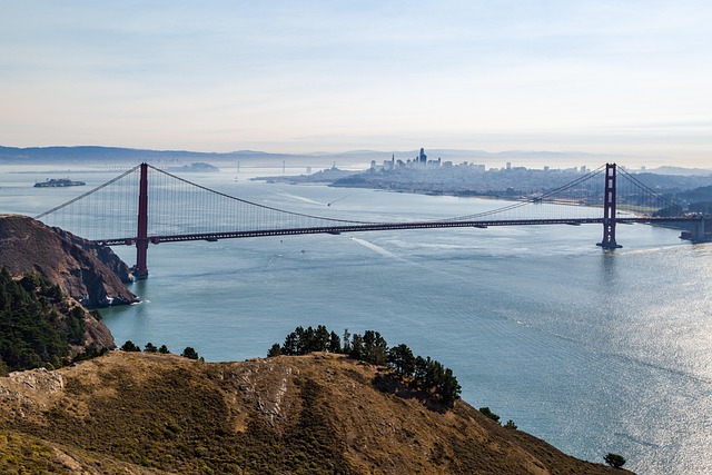 full-service-movers-bay-area-640x480-63050567.jpeg