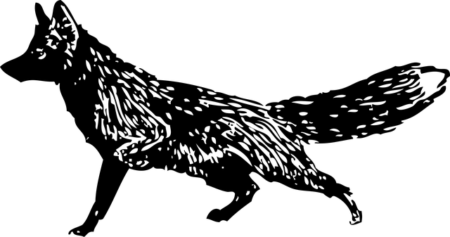 moving-company-640x480-21619109.png