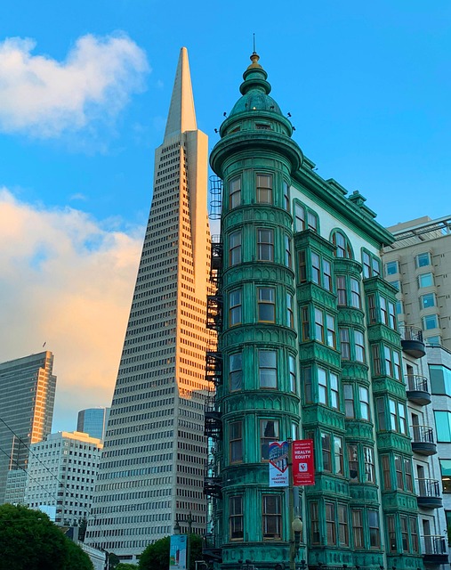 professional-movers-for-san-francisco-ho-640x480-66313892.jpeg