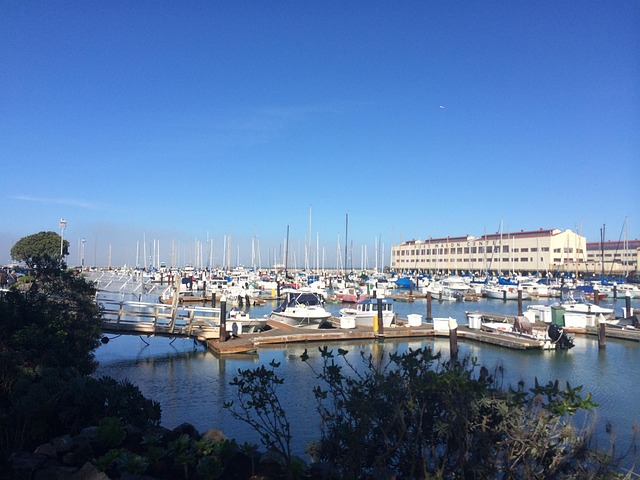 Proven San Francisco Movers: Your Trusted, Insured Furniture Partners