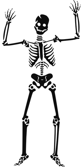 Proven Chiropractic Care: Trusted Relief for Neck Pain and Muscle Tension