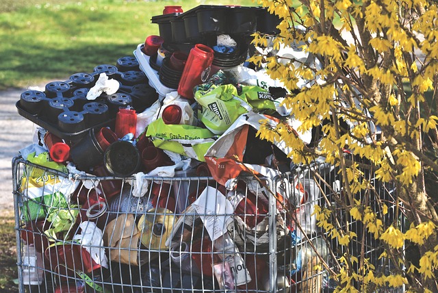zero-waste-moving-640x480-38567066.jpeg
