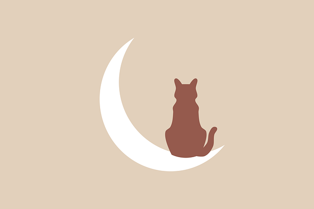 cat-sitters-640x480-77020834.png