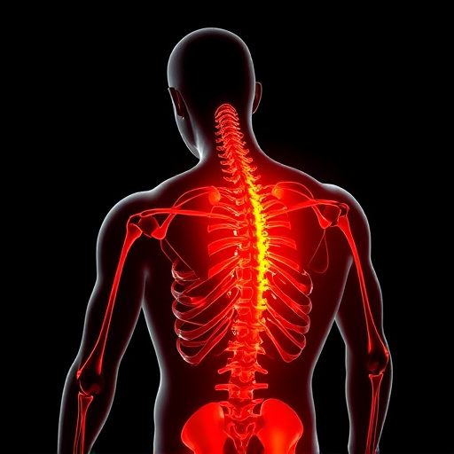 chronic-pain-management-chiropractic-640x480-36248008.jpeg