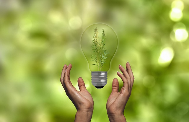 eco-friendly-moving-companies-sf-640x480-54365375.jpeg