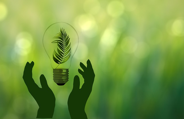 eco-friendly-moving-services-sf-640x480-16955831.jpeg