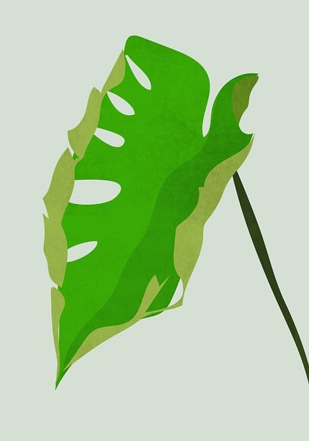eco-friendly-office-relocations-640x480-31960978.jpeg