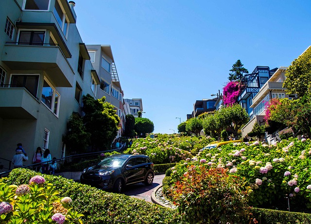 green-movers-san-francisco-640x480-42231666.jpeg