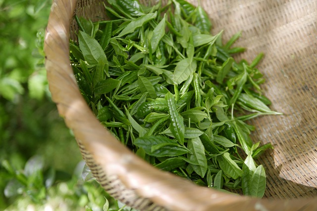 herbal-pain-relief-frisco-640x480-2414569.jpeg