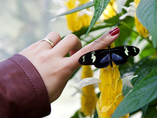 nail technician