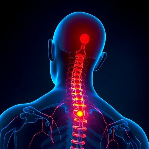 Experience Superior Chiropractic Adjustments for Trusted Chronic Pain Relief