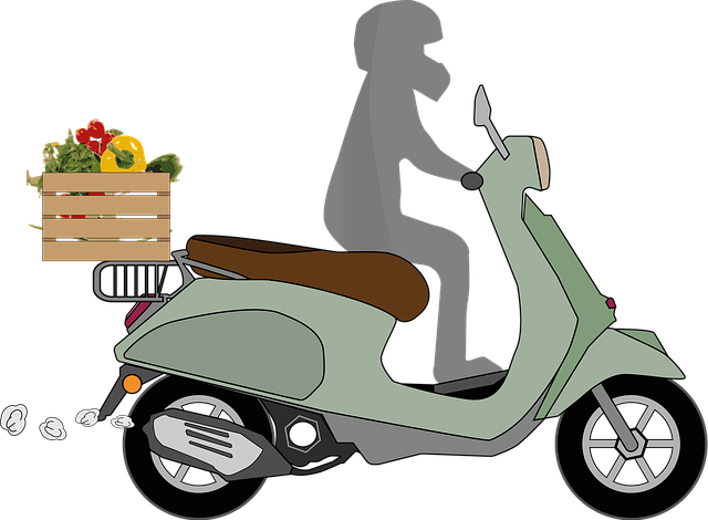 pet-friendly-moving-services-sf-640x480-93084746.png