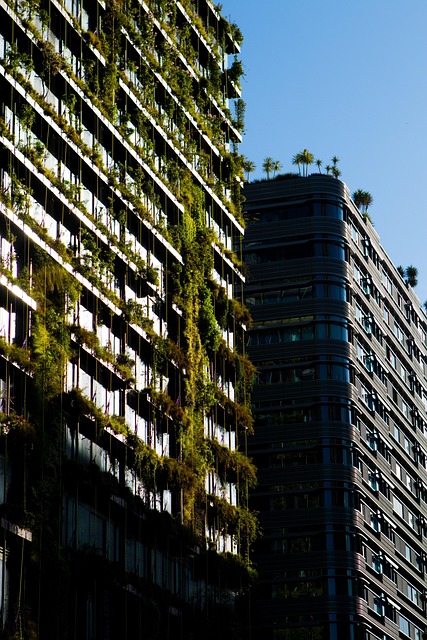 sustainable-relocation-services-640x480-81084970.jpeg
