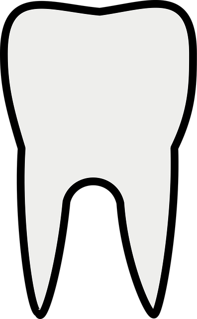 affordable-chiropractic-care-frisco-640x480-90259698.png