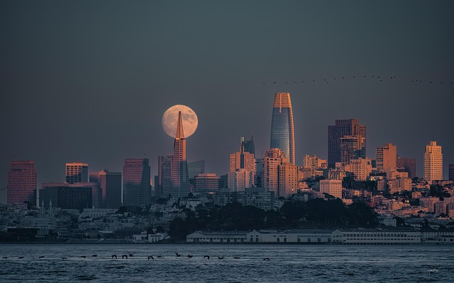 affordable-moving-services-san-francisco-640x480-86501888.jpeg