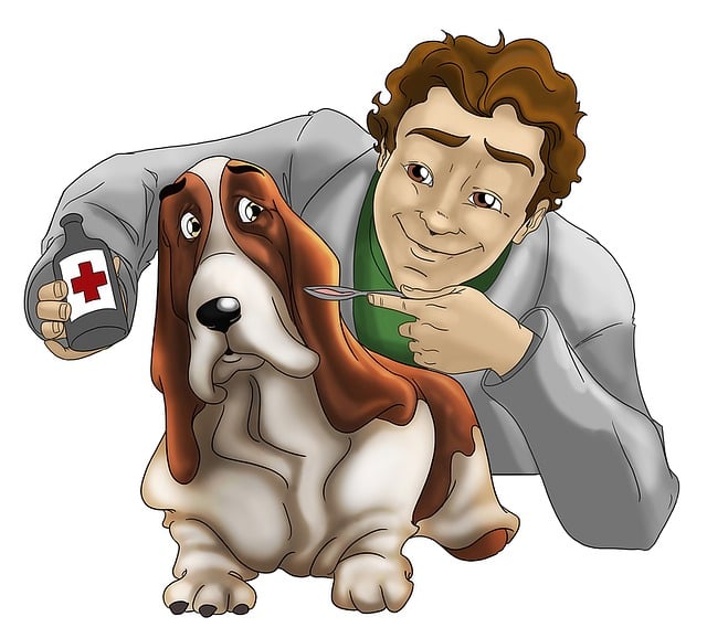 chiropractic-care-frisco-640x480-54727314.jpeg