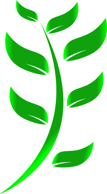 eco-friendly-office-relocations-640x480-44512559.png