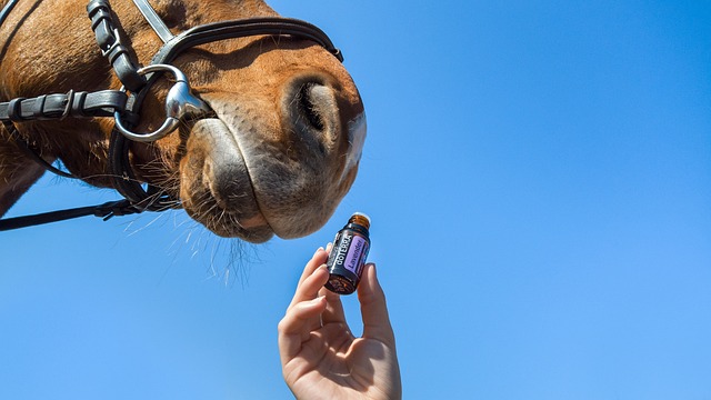 essential-oils-for-pain-relief-640x480-28499375.jpeg