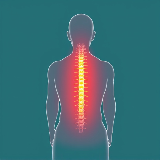 holistic-chiropractic-pain-relief-640x480-77177887.jpeg