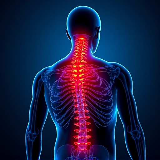 neck-and-back-pain-relief-frisco-640x480-74257377.jpeg