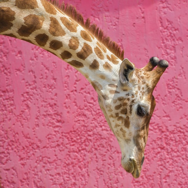neck-pain-640x480-90750629.jpeg