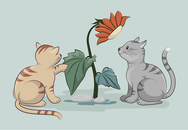 pet-sitting-640x480-4661390.png