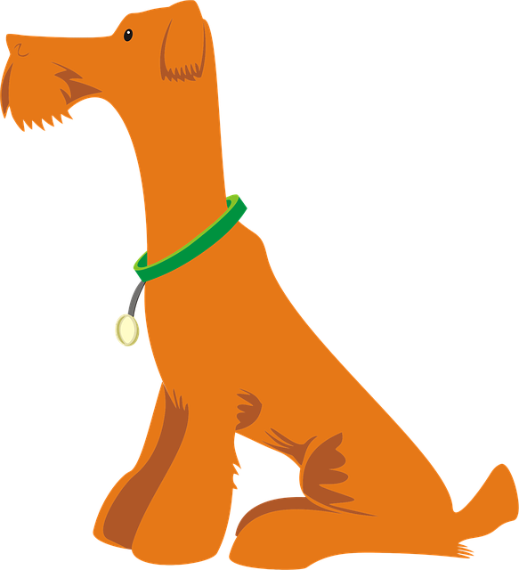 Pet Sitting