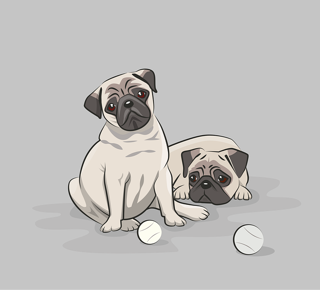 pet-sitting-640x480-72249949.png
