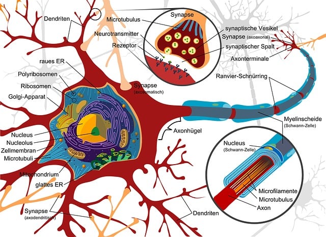 spinal-alignment-640x480-11320326.jpeg