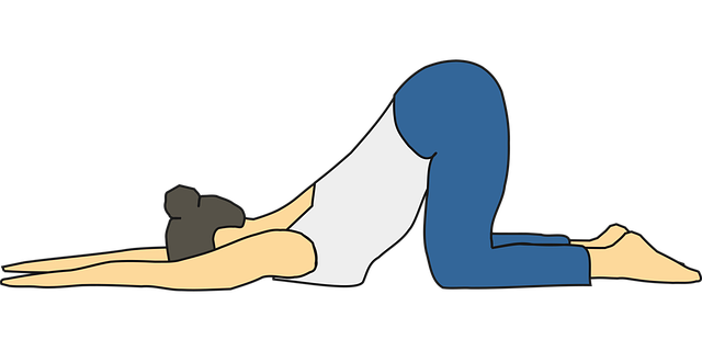 spine-640x480-41395782.png