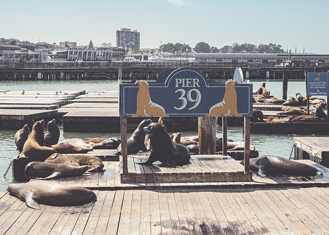 best-local-moving-services-san-francisco-640x480-26094849.jpeg