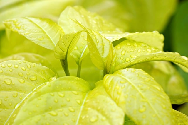 eco-friendly-office-relocations-640x480-50514308.jpeg