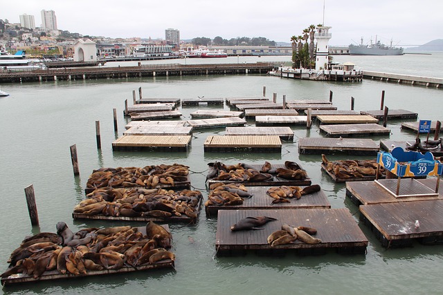 furniture reassembly san francisco