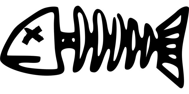 spinal-alignment-640x480-25572610.png