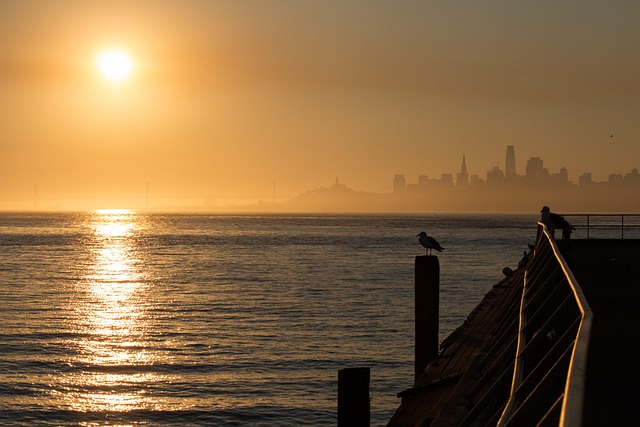 best-budget-movers-san-francisco-640x480-98201907.jpeg