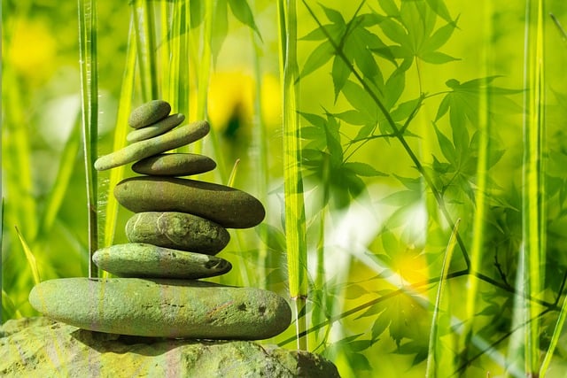 holistic-chiropractic-treatments-frisco-640x480-43435498.jpeg