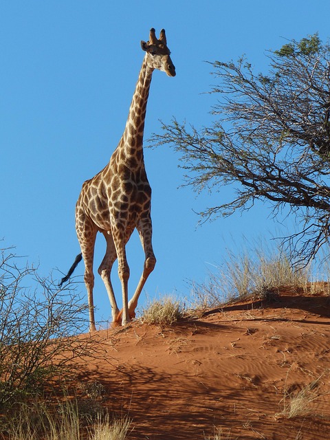 neck-pain-640x480-60767553.jpeg