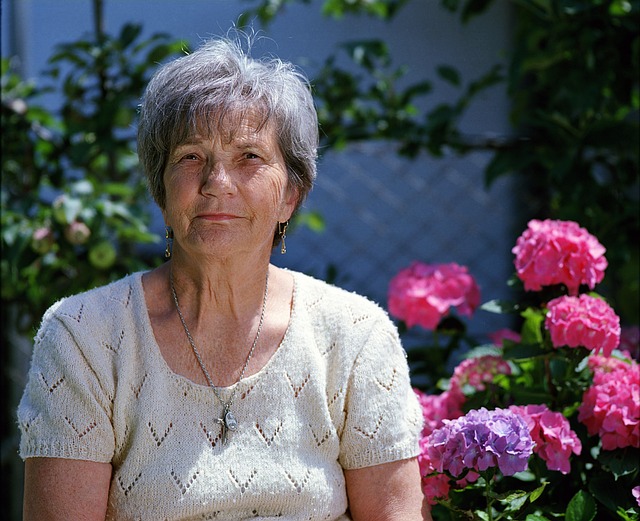 senior-moving-services-640x480-32460730.jpeg