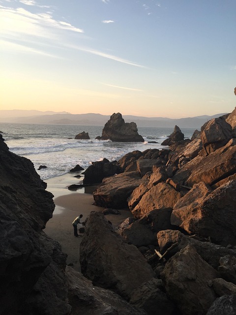 specialty-food-storage-san-francisco-640x480-11703597.jpeg