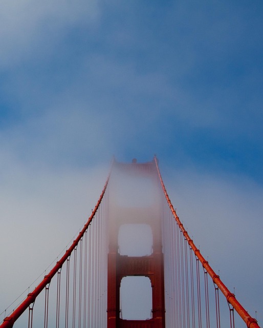specialty-item-movers-san-francisco-640x480-83864735.jpeg
